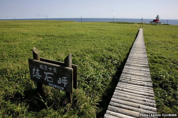 日本の絶景100選 落石岬（北海道）の画像