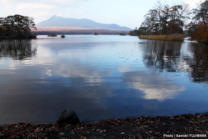 日本の絶景100選 大沼（北海道）の画像