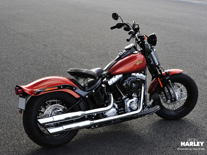 ハーレーダビッドソン FLSTSB SOFTAIL Cross Bones