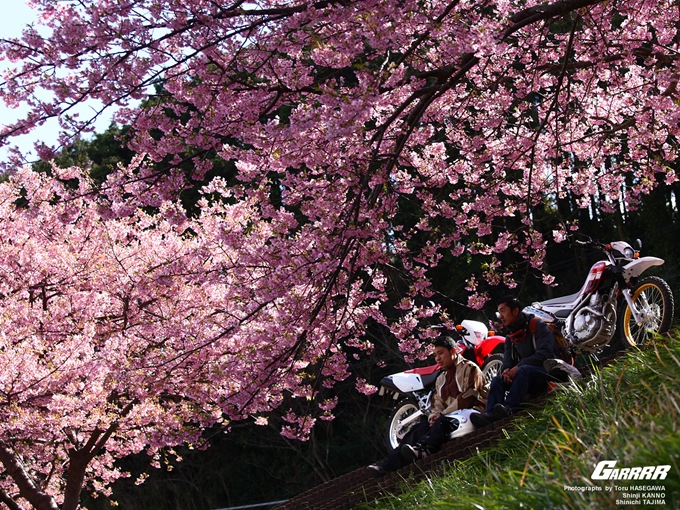 ホンダ XR230 / ヤマハ SEROW250